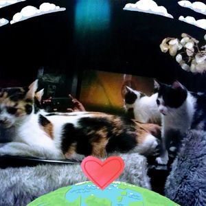 Meet your Posher, Vickie